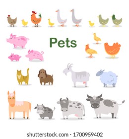 Collection of pets Agricultural set: chicken rooster duck goose turkey calf cow bull piglet goat sheep cat dog horse Vector stock illustration White isolated background Cute stylized baby animals