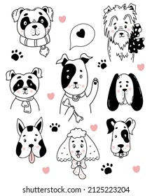 Collection of pets.Portraits of Cute dogs of different breeds - boxer, lapdog, poodle and great dane, mongrel and pinscher. Vector illustration. Isolated line drawings in doodle style 