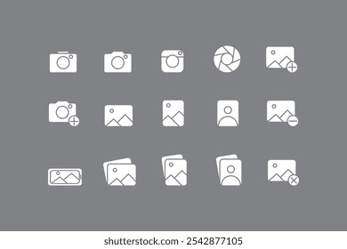 Coleção de ícones de fotografia. Contém câmera e álbum de fotos, ilustração vetorial do fotógrafo com fundo cinza branco, símbolo da foto. Coleção de ícones sólidos da ilustração.