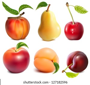 Collection of photo-realistic vector fruits.