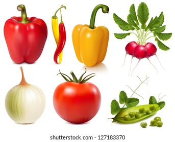 Collection of photo-realistic vector vegetables