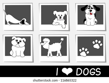 collection of photos with cartoon dogs vector illustration