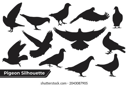 Collection of Pigeon silhouettes in different positions