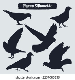 Collection of Pigeon silhouettes in different positions