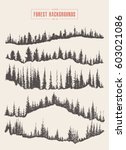Collection of pine forest backgrounds, vector illustration, hand drawn, sketch