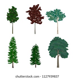 Collection of pine and leaf tree illustrations