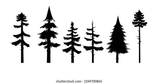 collection of pine tree silhouette, forest silhouettes set in monochrome style vector illustration