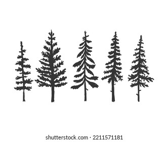 Collection of pine tree silhouettes. Vector, isolated
