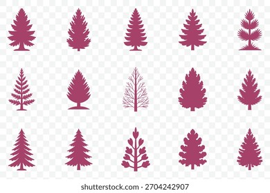 Collection of pine trees. Fir tree vector set. christmas pine tree vector set  isolate transparent backgrounds, evergreen spruce, fir, pine forest, nature design, woodland clipart, tree illustration. 