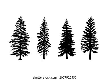 Collection of pine trees vector isolated white background