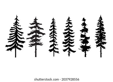 Collection of pine trees vector isolated white background