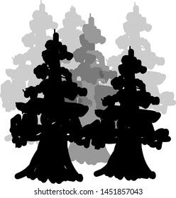 
a collection of pine trees in winter