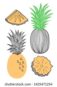 Collection of pineapple. Fruit, piece, slice of pineapple. Vector hand drawn illustration set in modern trendy flat style for web, print posters and wallpapers
