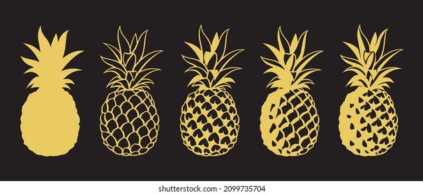 collection of pineapple tropical fruits isolated on black background