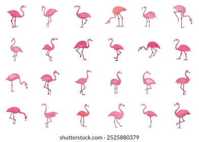 Collection of pink flamingos standing, some bending their necks, showcasing their elegant and vibrant presence