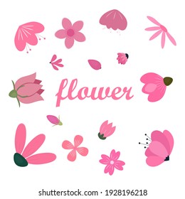 Sammlung von rosafarbenen Flachblumen, dekoratives Element