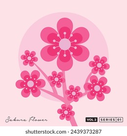 Collection of pink japanese cherry blossoms sakura vector flat design illustration