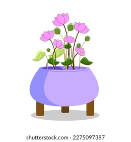 Collection pink lotuses and green leaves in a purple pot isolated on white background. Use for banner, wallpaper, poster, invitations, cover and packaging design. Vector illustration.