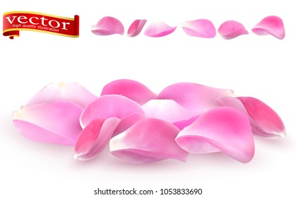 Collection of pink rose petals close-up on white background. Vector editable elements to the day of the holy Valentine. Flower petals against white background. 