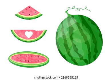 Collection of pink watermelons from different angles. Vector set of summer fruits. Use for posters, banners, posters, scrapbooking, stickers, decorations, covers.