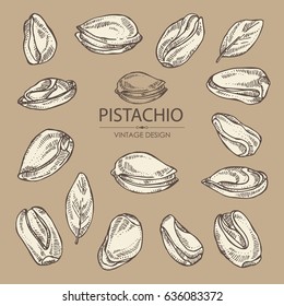 Collection of pistachio. Hand drawn.