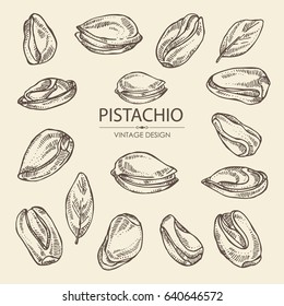 Colección de pistacho. Dibujado a mano