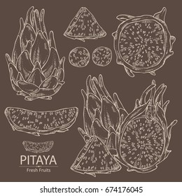 Collection of Pitaya fruit: Dragon fruit. Vector set hand drawn illustration