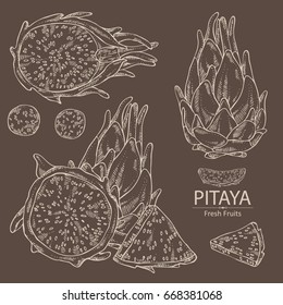 Collection of Pitaya fruit: fruit and pitaya slice. Dragon fruit. Vector set hand drawn illustration.