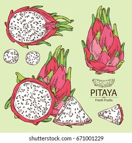 Collection of Pitaya fruit: fruit and pitaya slice. Dragon fruit. Vector set hand drawn illustration