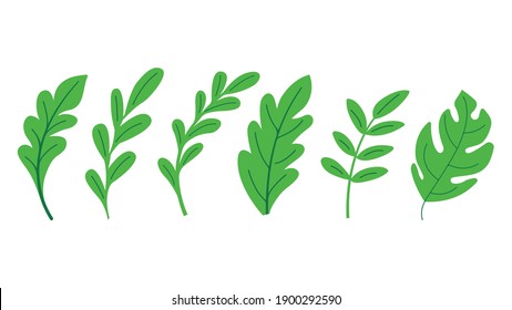 Collection of plant. Abstract leaves and grass. Green color. Good for social media, print, blogs. Vector set. 
