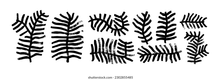 Collection of plant branches brush drawn with bold lines. Pine branches, evergreen trees or cedar twigs vector ink illustrations. Naive and primitive style drawings. Geometric shape twigs.