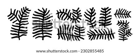 Collection of plant branches brush drawn with bold lines. Pine branches, evergreen trees or cedar twigs vector ink illustrations. Naive and primitive style drawings. Geometric shape twigs. [[stock_photo]] © 