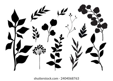 Collection of plant silhouettes. Branches, leaves and botanical elements. Vector illustration
