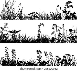 Collection of plants