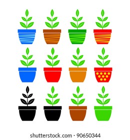 Collection of plants
