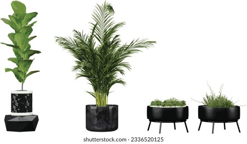 Collection of plants and cactus black pots isolated on transparent background 3D render png tree