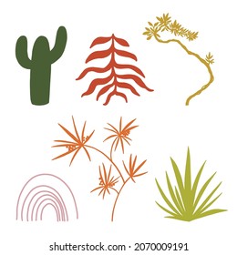 Collection of plants cactus, bonsai, palm, rainbow, leaves vector illustration for design.