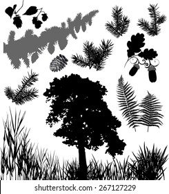 Collection of plants and flowers