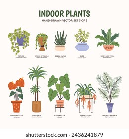 Colección de plantas para espacios interiores. Plantas tropicales, suculentas y cactus. Nombres científicos e ingleses debajo del dibujo de la planta. Juego 3 de 5. Colorida ilustración vectorial.