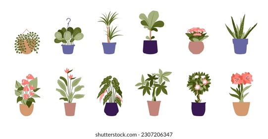 Colección de plantas machacadas para el hogar. Plantas de casas interiores diferentes. Esta es una ilustración vectorial plana de moda