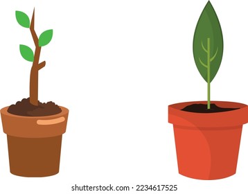 Collection of Plants  Potted Plants Isolated on White. Vector Set Green Tropical Plants. Trendy Home Decor with Indoor Plants, Planters, Cacti, and Tropical Leaves.