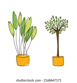 Collection of plants set, room plants of different types planted in brown pots, leaves and blossom vector illustration isolated on white