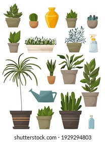 Collection of plants. succulents and houseplants. hand drawing vector art.
Urban jungle, trendy home decor elements