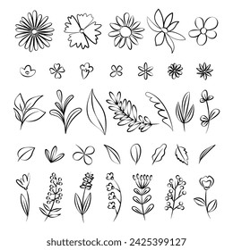 Collection of plants. Vector wildflowers in doodle style