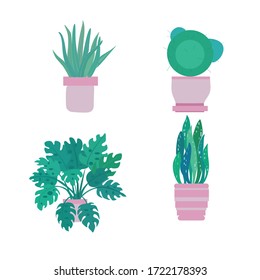 Collection of plants.House plant.Isolated elements on a white background.Set of pots with flowers. Vector illustration