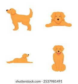 Collection of playful golden retriever illustrations in various poses isolated on white