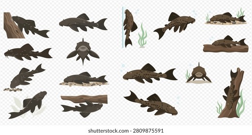 A collection of pleco fish illustrations in various poses, including swimming, resting on logs, and on the aquarium floor, showcasing their unique appearance.