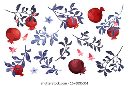Collection of pomegranate branches with flowers isolated on white background. Scrapbooking elements, botanical illustration