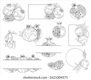 Collection of pomegranate fruit, branches, flowers and decorative frames, hand drawn botanical line drawing, vector floral line art illustration for wedding, logo, advertising, packaging