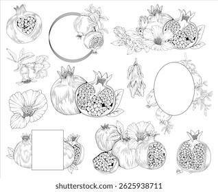 Collection of pomegranate fruit, branches, flowers and decorative frames, hand drawn botanical line drawing, vector floral line art illustration for wedding, logo, advertising, packaging